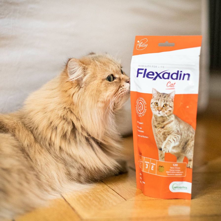 flexadin gato